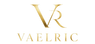 Translation missing: en.VAELRIC accessibility.home